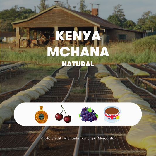 Kenya Mchana Natural