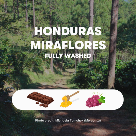 Honduras Miraflores Fully Washed