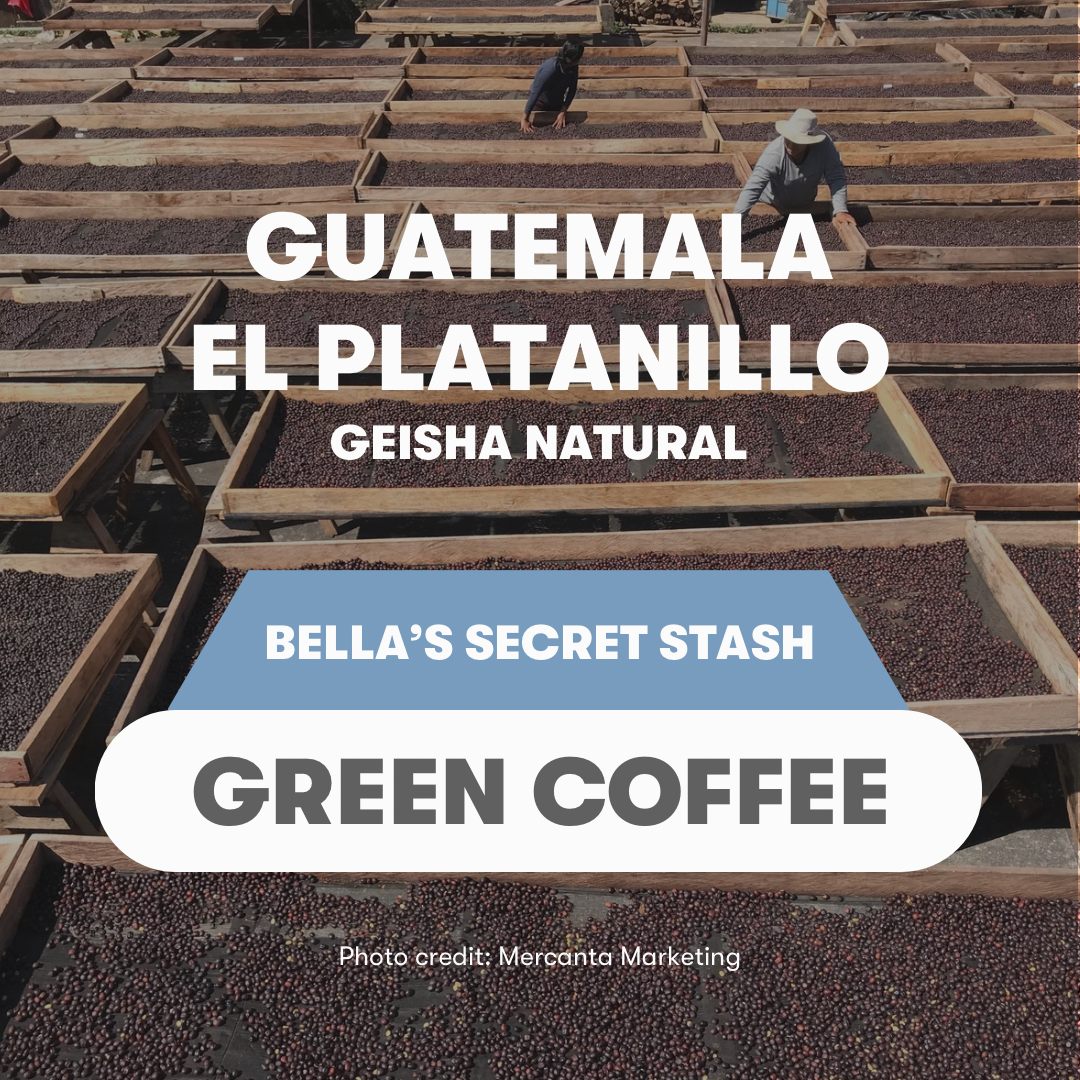 Guatemala La Platanillo Geisha Natural