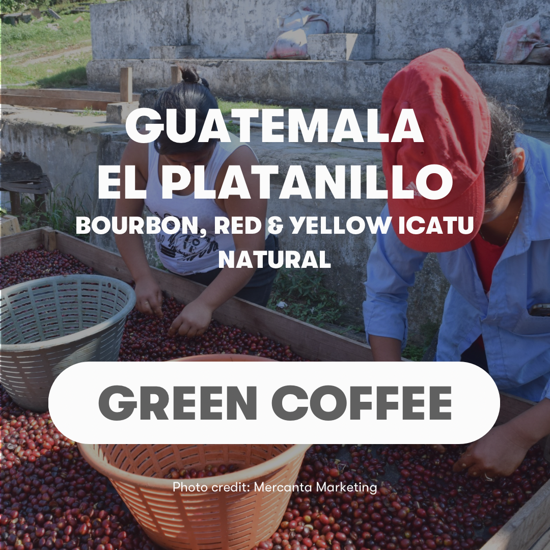 Guatemala El Platanillo Bourbon, Red & Yellow Icatu Natural