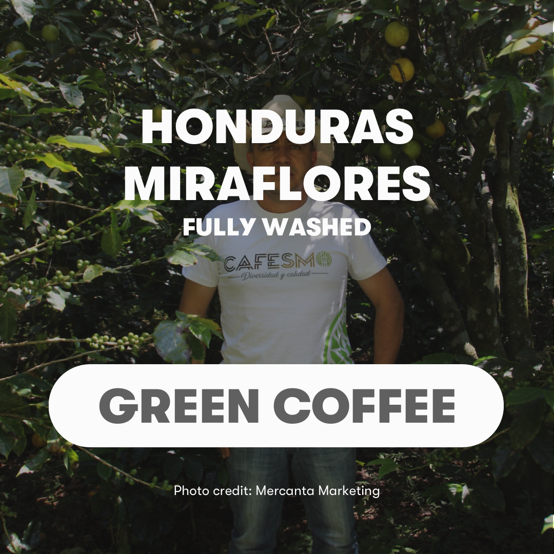 Honduras Miraflores Pacas Obata IHCAFE90 Fully Washed