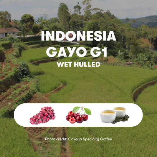 Indonesia Gayo G1 Wet Hulled