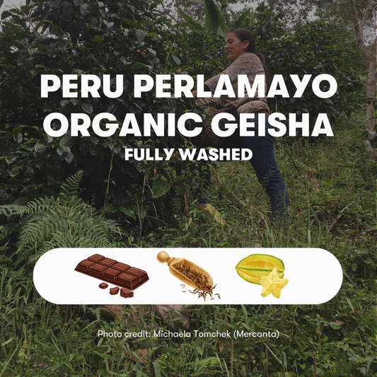 Peru Perlamayo Organic Geisha Fully Washed